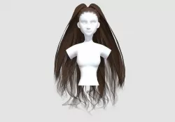 Thick Pigtail Hairstyle  3D model
