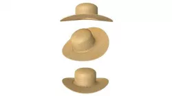 Women Straw Hat 3D model