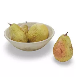 Bartlett Pears 3D model