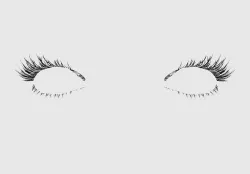 Basic Long Eyelashes  3D model