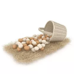 basket straw and eggs are natural 3D model Low-poly 3D model