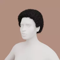 Black Small Afro 3D model
