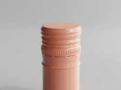 Bottle Screw Cap 3D model