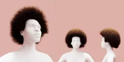 Brown Medium Afro 3D model