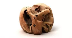 Drift Wood 1 3D model