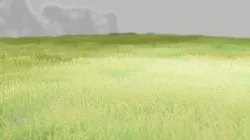 Easy Handpaint Grass 3D model