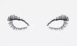 Eyelashes 3D model