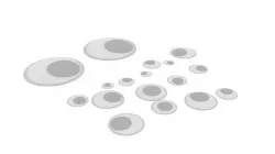 Google Eyes Set 3D model