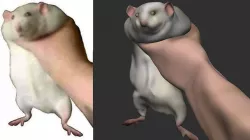 Hamster Meme 3D 3D model