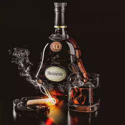 Hannessy Xo 3D model