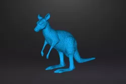 Kangaroo