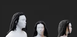 Long Dreadlocks 3D model