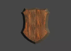 Medieval Shield