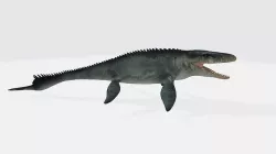 Mosasaurus 3D model