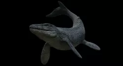 Mosasaurus Mosasaur Low-poly 3D model