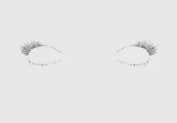Natural Long Eyelashes  3D model
