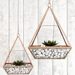 Pedant succulents 3D model