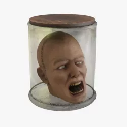 Preserved Head Low-poly 3D model