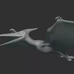 Pteranodon Dinosaur Basemesh Low-poly 3D model