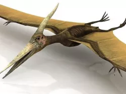 Pteranodon Flying Carnivorous Reptile 3D 3D model