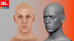 Retopologized Head Rylen Cannon 3D model