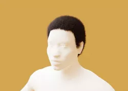 Short Curly Hair 3D model