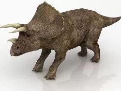 Triceratops 3D model 3D model