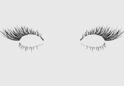 Very Long Eyelashes  3D model