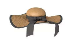 Woman Fashion Straw Hat 3D model