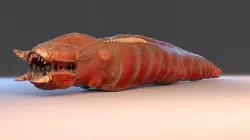 Worm monster 3D model