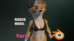 Yara Anthro Fox 3D model