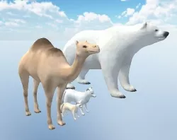 Animal package 3D model