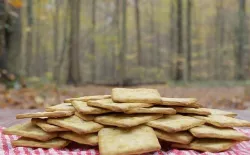 Biscuit cracker  realistic 3D model