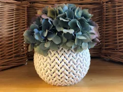 Braided Bowl