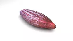 Brown Cocoa Fruit 3D model