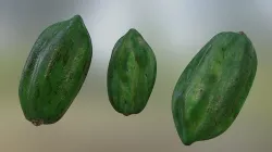 cocoa fruit Low-poly 3D model