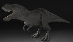 SHEIN Set Di 4 Pezzi Di Pigiama Aderente Per Ragazzo Giovane Con - Foto 5