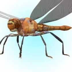 Dragonfly Rigged 3D model