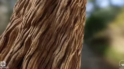 Fantasy Tree Bark Brown - Substance Designer Texture