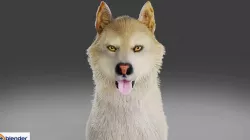 Fur Gray Wolf V02 NO Rigged Low-poly 3D model