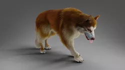 Fur Red Wolf Rigged and Animated in Blender Low-poly 3D model