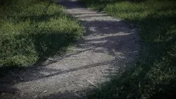 Hiking Trail - Tileable and Curvable Low-poly 3D model