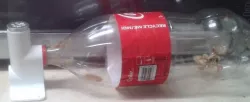 Humane Mouse Trap Using 2L Pop bottle 
