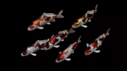 Koi fish Low-poly 3D model