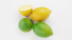 LIME ORANGE 3D model