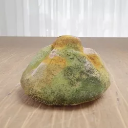 Moldy bun 3D model