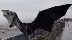 Nightmare Wing Bat Demon Creature Low-poly 3D model
