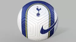 Nike Tottenham Hotspur FC Strike White Football 3D model