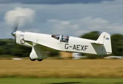 Percival Mew Gull 3D model