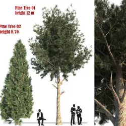 Pine Tree set 03 3D model